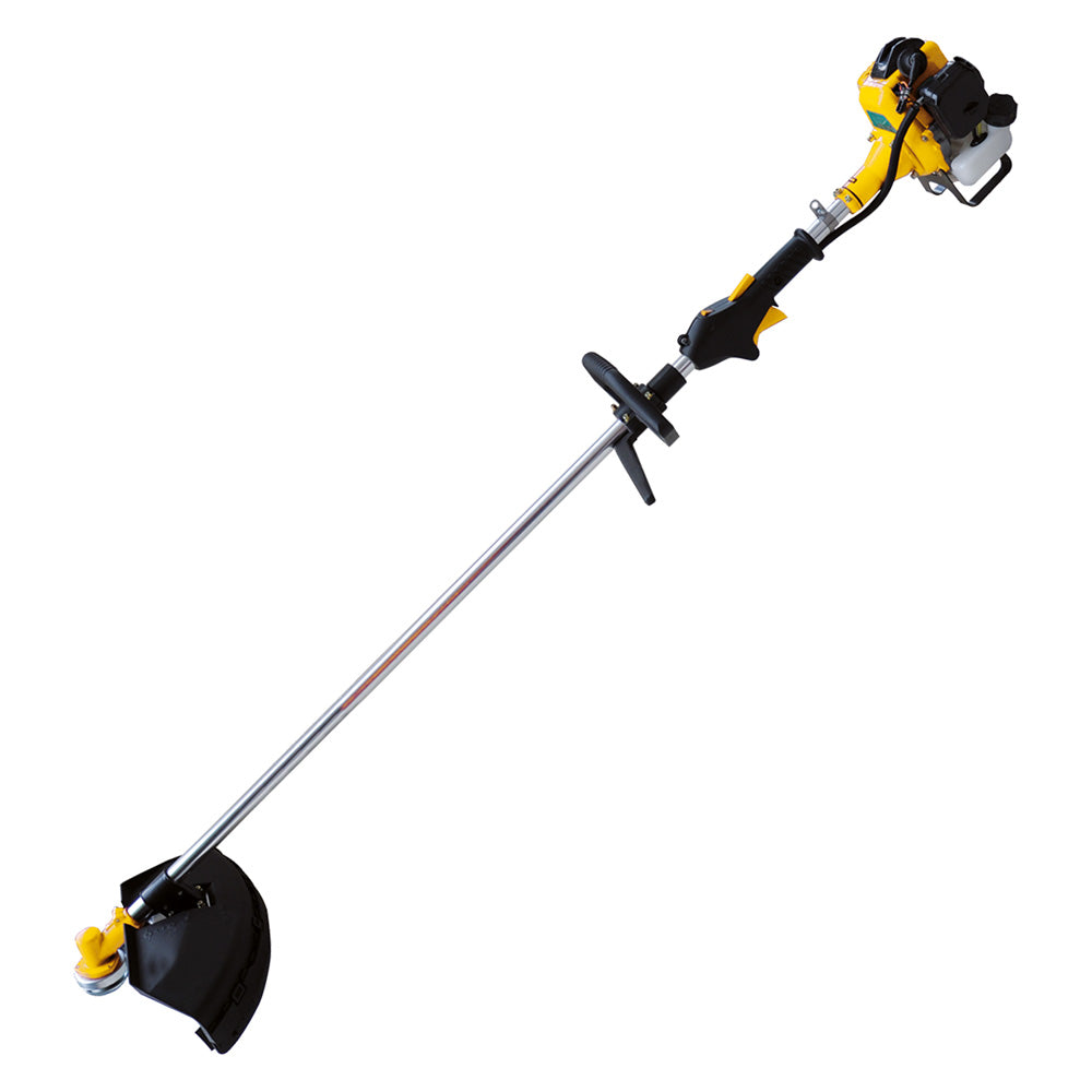 DECESPUGLIATORE 'PG260W' Hp 1,0 - c/accessori