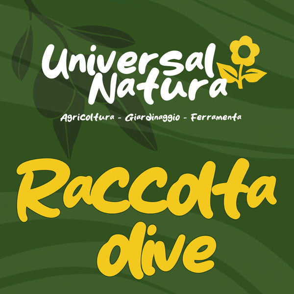 Articoli raccolta olive